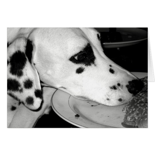 Precious Dalmation Card
