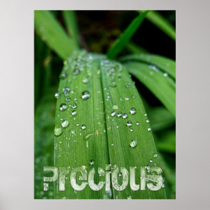 Precious Gifts of Nature Poster