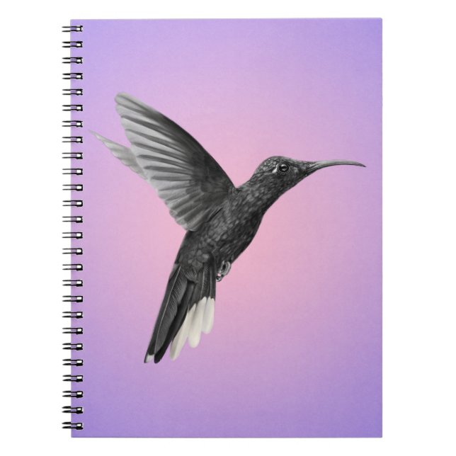 Precious Hummingbird on Pink Purple Notebook (Front)