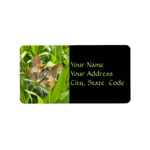 Precious jungle Kitty Address Labels