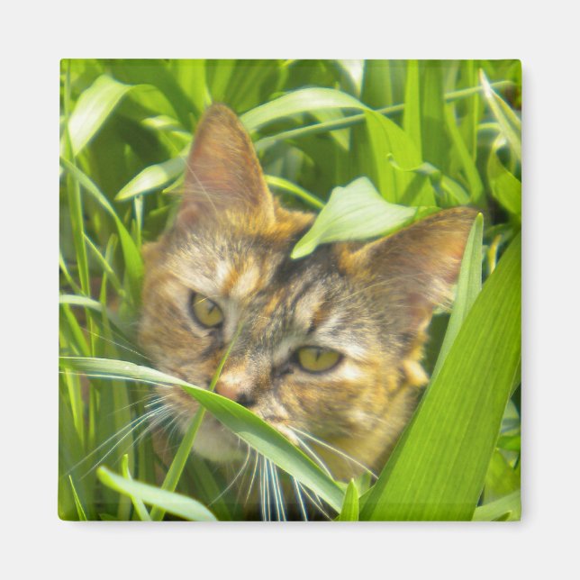Precious Jungle Kitty Magnet (Front)