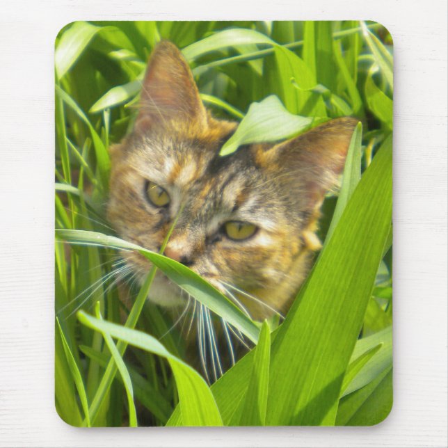 Precious Jungle Kitty Mouse Pad (Front)