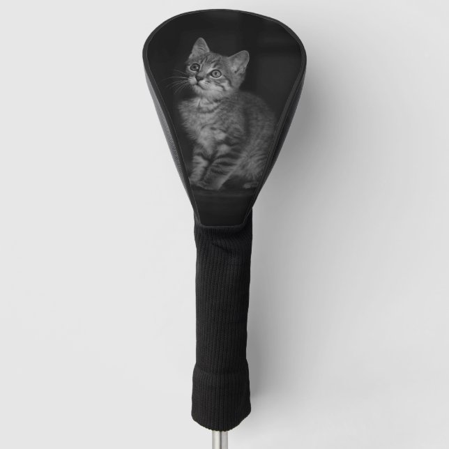 Precious Kitten Golf Head Cover (Front)