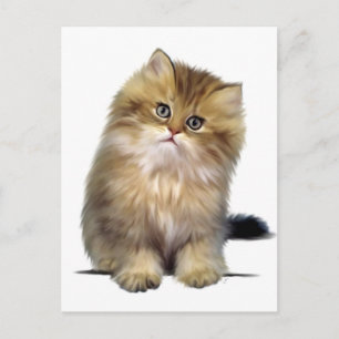 Precious Kitten Postcards