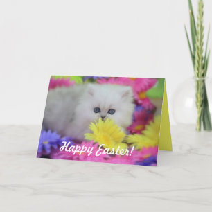 Precious Kittens Easter Greeting Card
