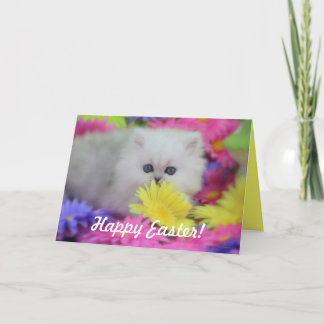 Precious Kittens Easter Greeting Card