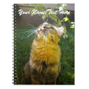 Precious Kitty Notebook