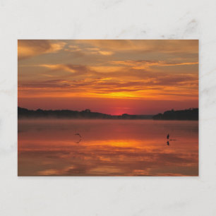 Precious morning, orange sunrise at the lake postcard