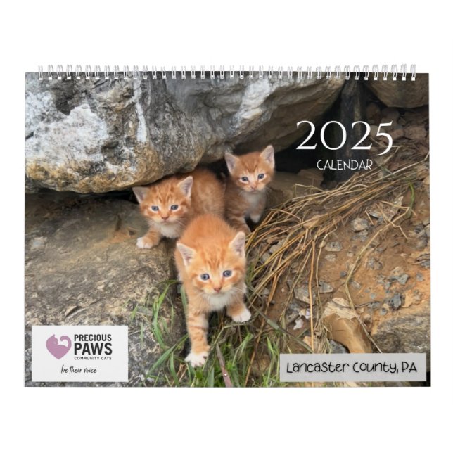 Precious Paws 2025 Calendar (Cover)