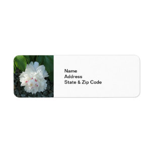 Precious Peony Return Address Labels
