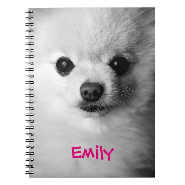 Precious Pomeranian Notebook (Front)