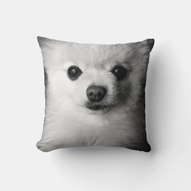 Precious Pomeranian Pillow (Front)