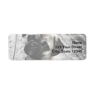 Precious Pug Puppy in Black and White Return Address Label