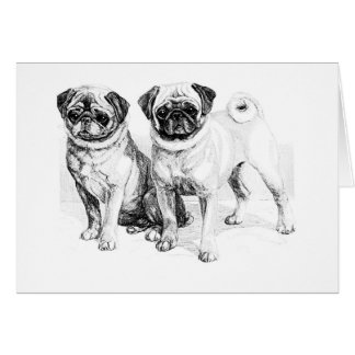 Precious Pugs Illustration Cards (blank)