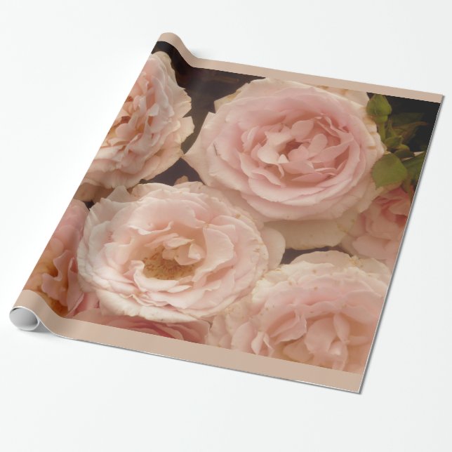 Precious Roses Wrapping Paper (Unrolled)