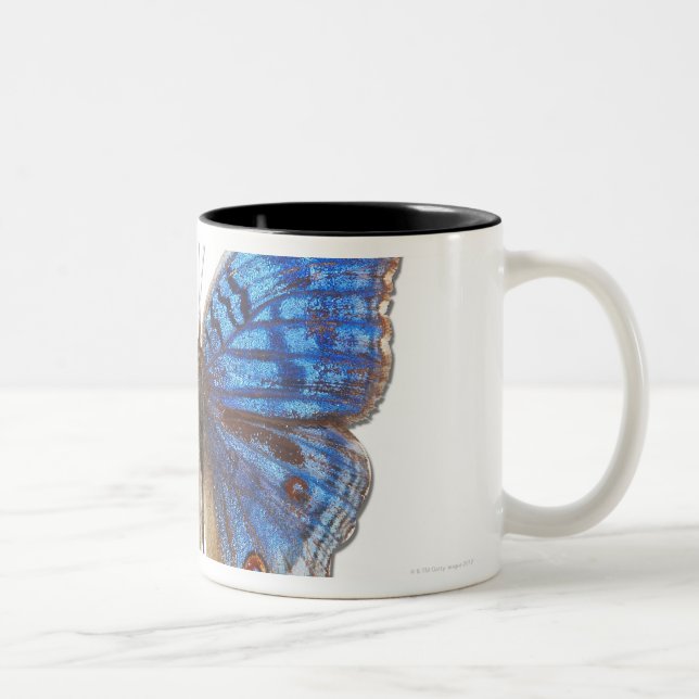Precis rhadama Two-Tone coffee mug (Right)