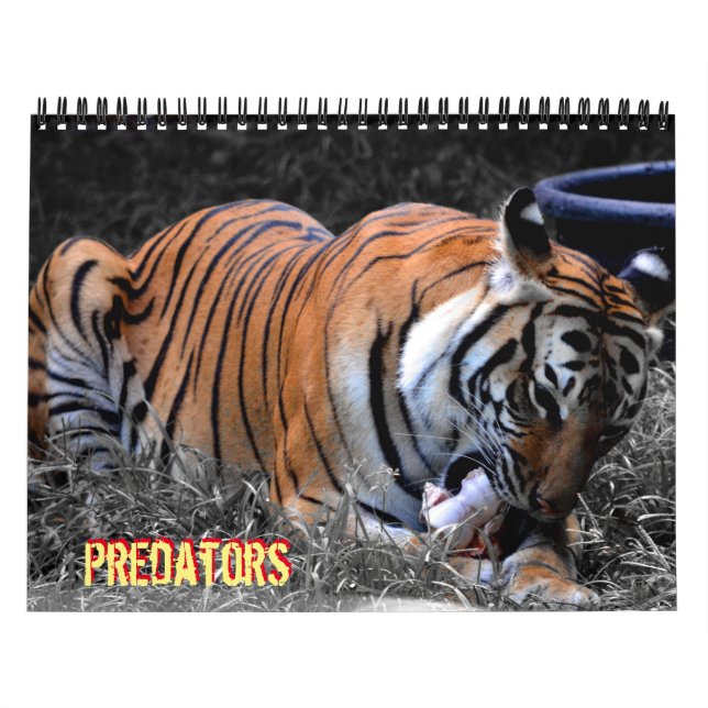 Predator Calendar (Cover)
