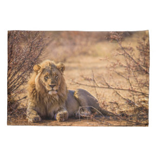 Predator Lion in South Africa Pillowcase