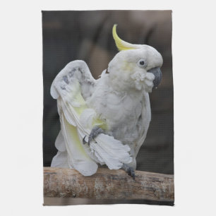 Preening Cockatoo Kitchen Towel