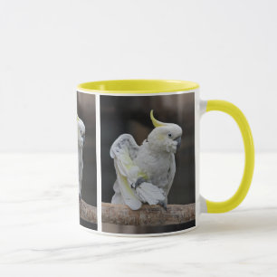 Preening Cockatoo Mug
