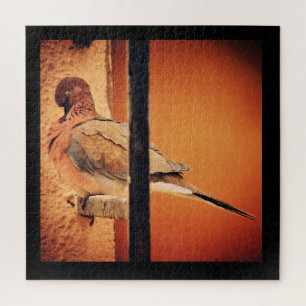 Preening Dove Jigsaw Puzzle