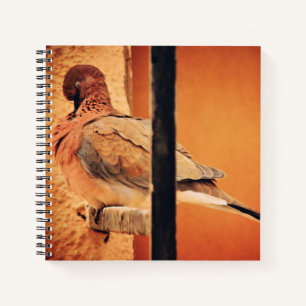 Preening Dove Notebook
