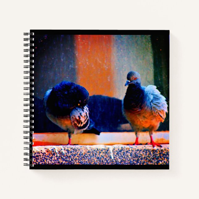 Preening Pigeons Notebook (Front)