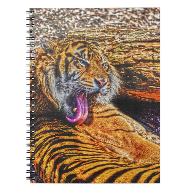 Preening Sumatran Tiger Big Cat Wildlife Art Notebook (Front)