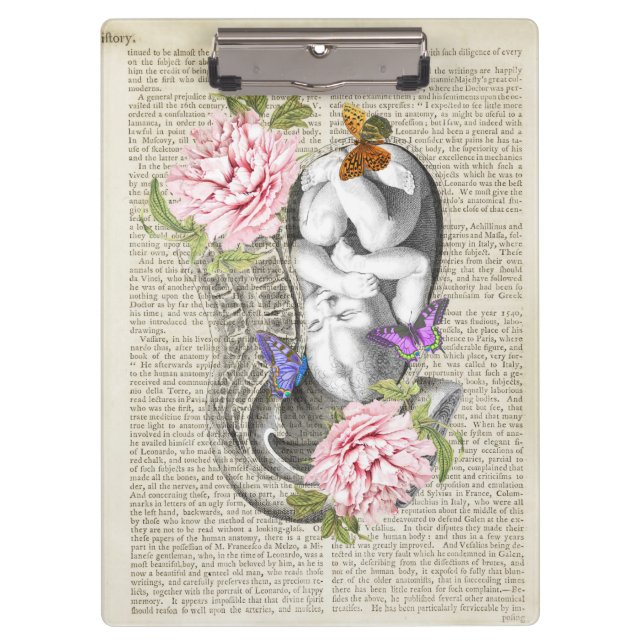 Pregnancy Anatomy Baby in Womb Clipboard (Front)
