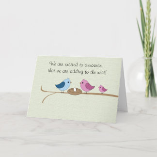 Pregnancy Announcement Filling the Nest