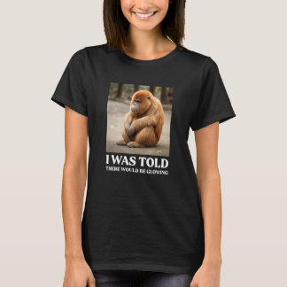 Pregnancy Announcement Meme Pregnant Mom to be 1 T-Shirt
