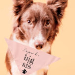 Pregnancy Announcement Pet Bandanna | Big Sis Pink<br><div class="desc">Small or large,  this pet bandanna can be used for dogs or cats. Minimal,  modern,  and customisable with your pet's name. 
What's cuter than announcing a pregnancy than with your fur child 🥰
All text is customisable ↣ just click the ‘Personalise’ button.</div>