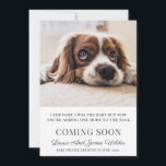 Pregnancy Flat Announcement Card<br><div class="desc">A funny sulking dog photo pregnancy announcement. I thought I was the baby,  but now you're adding one more to the pack. Customise with your dog's photo. You must replace this sample photo with your photo.</div>