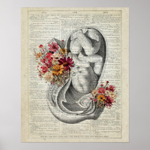 Pregnancy OB/GYN Wall Art