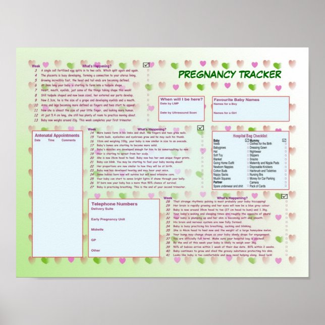 Pregnancy Tracker Poster (Front)