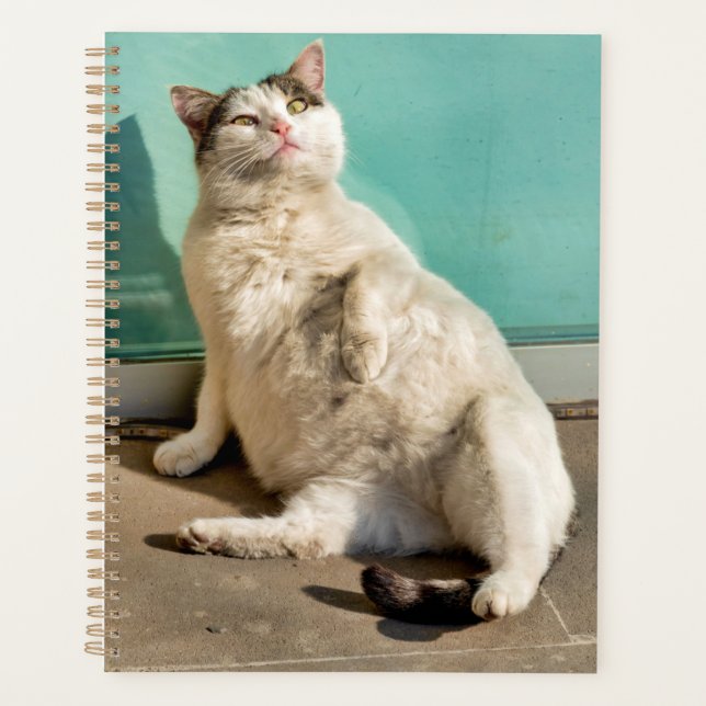 Pregnant cat  planner (Front)
