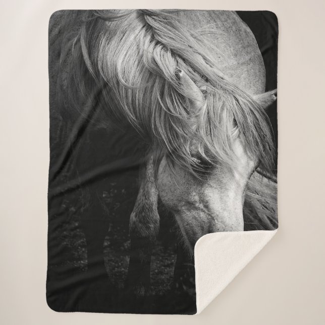 Pregnant Dartmoor Pony Mare portrait Sherpa Blanket (Front)