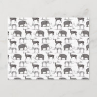 Prehistoric Animals - Woolly Mammoth and Megaceros