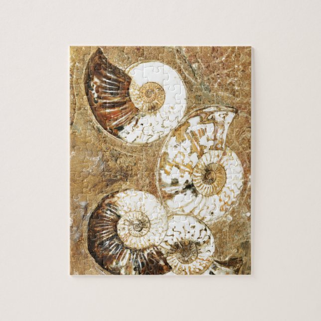 Prehistoric background with fossil shells jigsaw puzzle (Vertical)