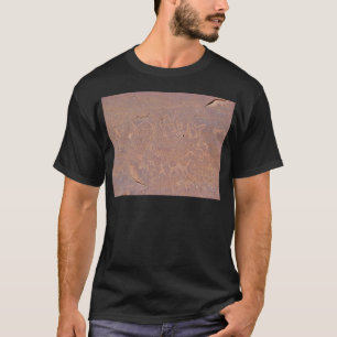 Prehistoric Carved Drawings In The Desert T-Shirt