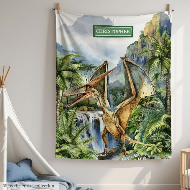Prehistoric Dinosaur Boys Birthday Blanket Custom (Prehistoric Dinosaur Boys Birthday Blanket with Name)
