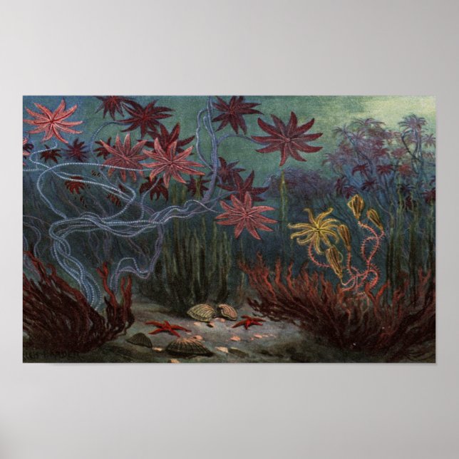 Prehistoric Ocean Poster (Front)