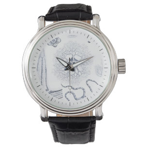 Prehistoric Sea Life - Crinoids, Ophiura Watch