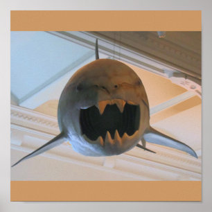 Prehistoric Shark Poster