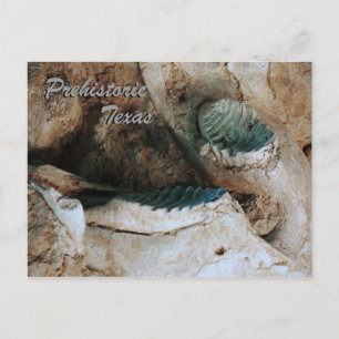 Prehistoric Texas postcard