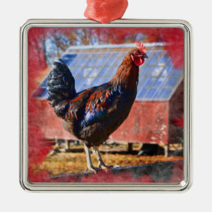 Premium Metal Ornament with Rooster in barnyard