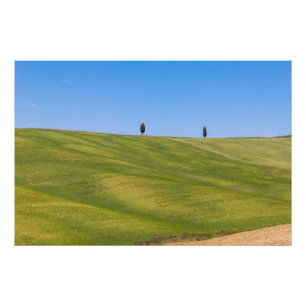 Premium Satin Photo Paper Photo Enlargement Print
