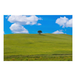 Premium Satin Photo Paper Photo Enlargement Print