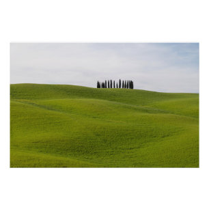 Premium Satin Photo Paper Photo Enlargement Print