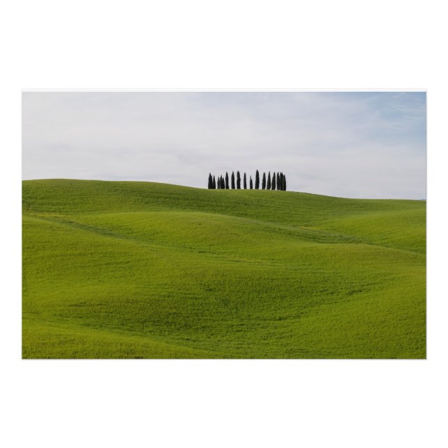 Premium Satin Photo Paper Photo Enlargement Print (Front)